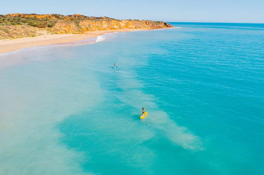 Eco Beach Wilderness Retreat image 10