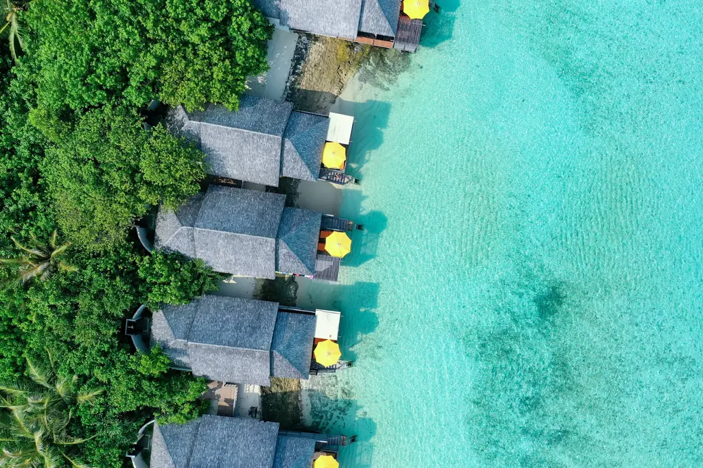 Dhigufaru Island Resort image 6