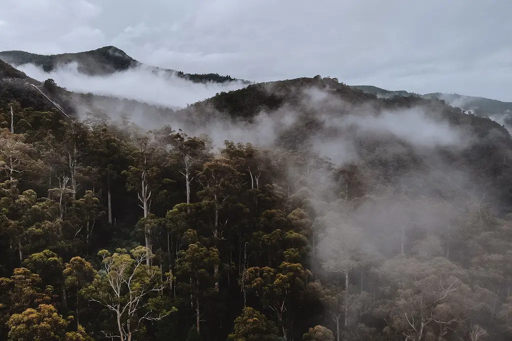 Discovery Resorts – Cradle Mountain image 5