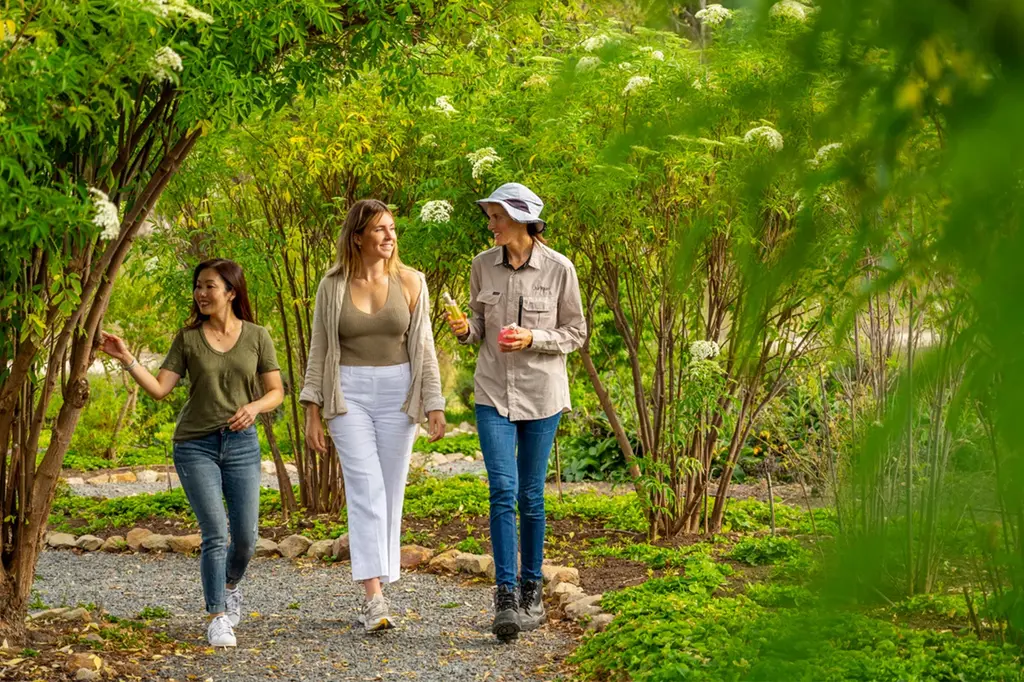 CABN Hahndorf image 6