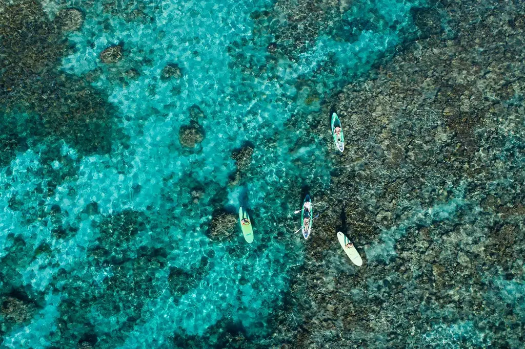 Sal Salis Ningaloo Reef image 10