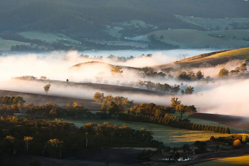 Yarra Valley Lodge image 4