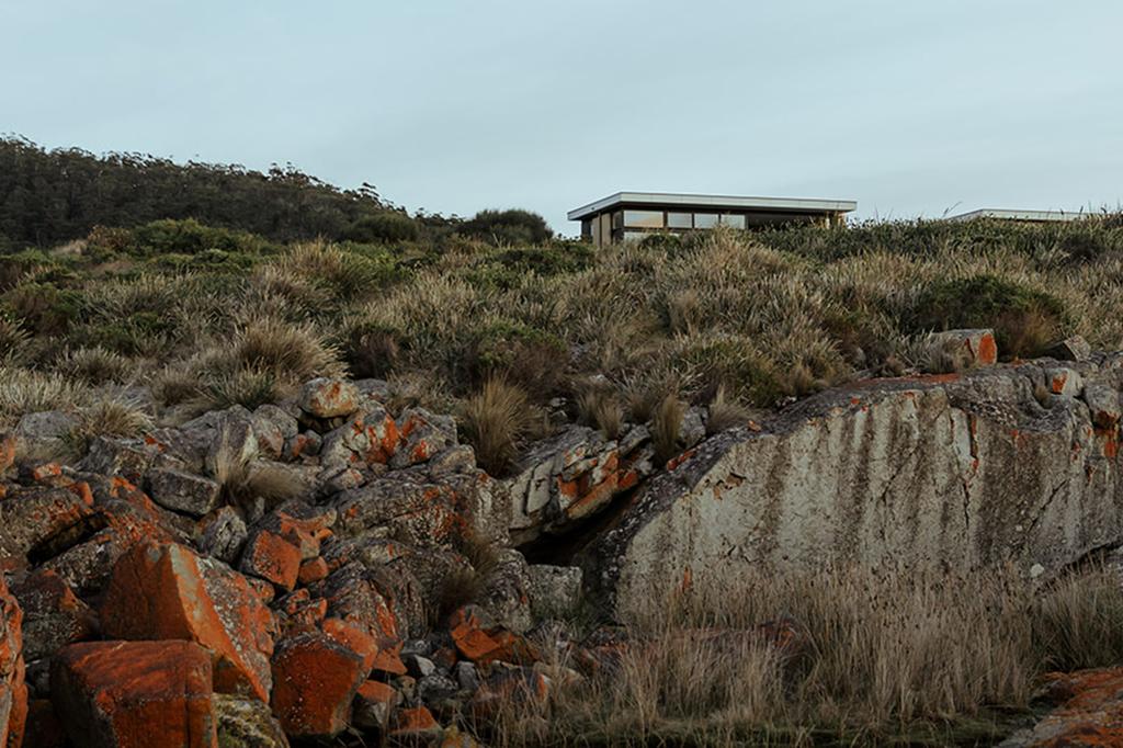 Little Beach Co image 15