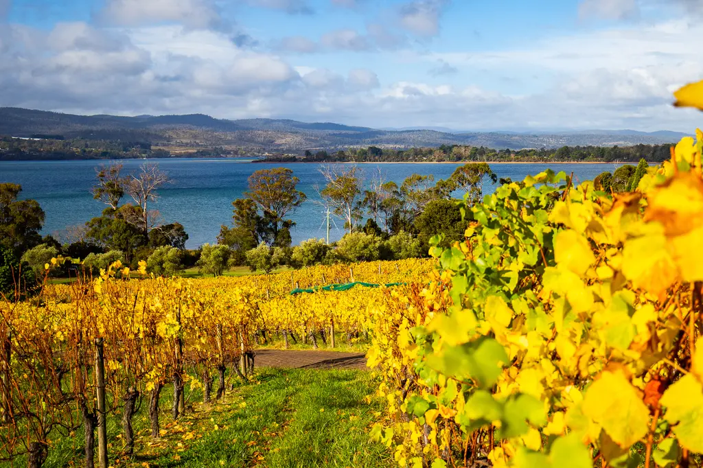 The Sebel Launceston image 10