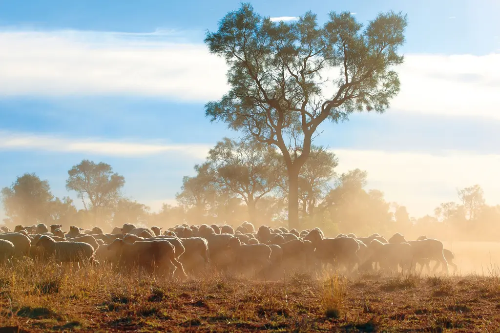 Club Boutique Hotel Cunnamulla image 12