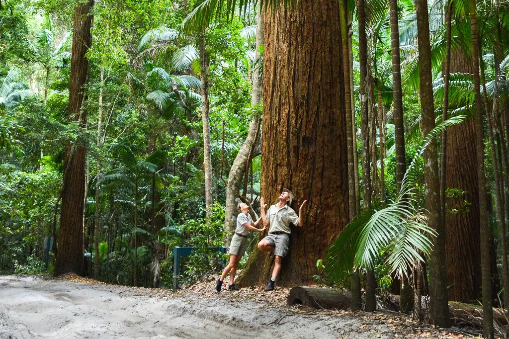 K'gari Explorer Tours image 10