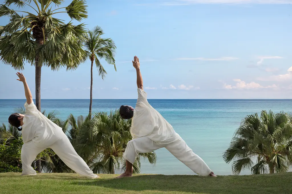 Anantara Lawana Koh Samui Resort image 10